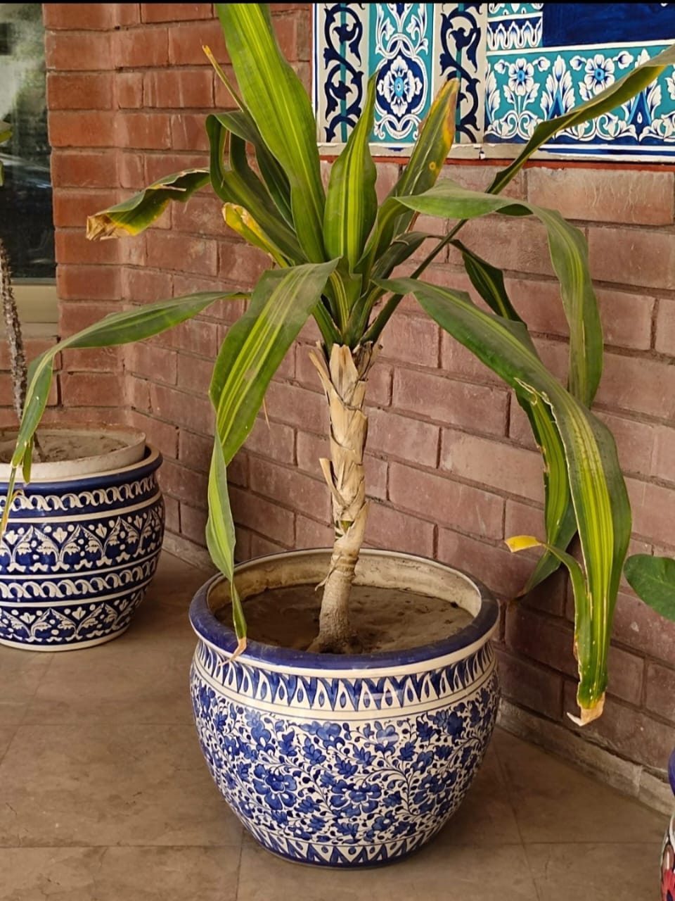 Ceramic Planter Blue Pottery Handmade | Size of Planter is 10 by 11