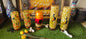 Handmade Camel Skin Lamps | Quantity 05
